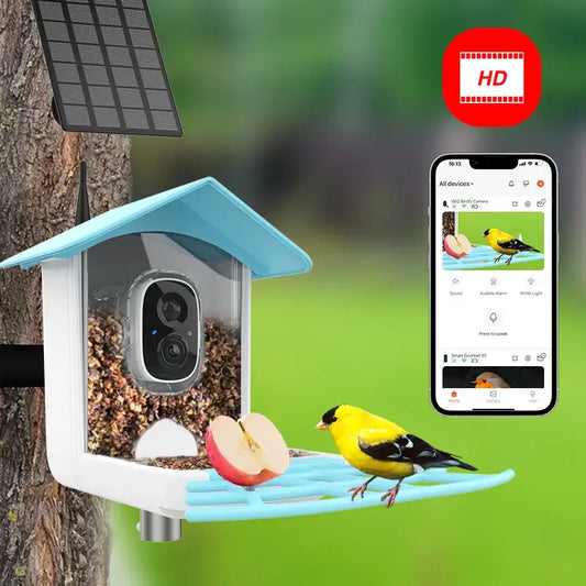 Revolutionize Your Life with Smart Bird Feeders and Cameras