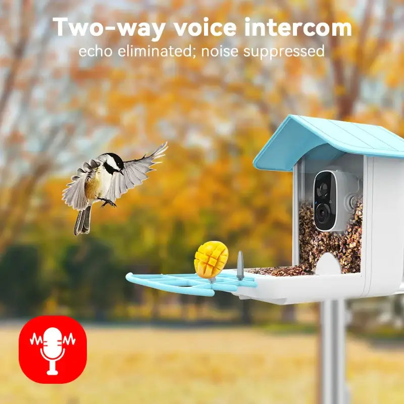 Revolutionize Your Life with Smart Bird Feeders and Cameras