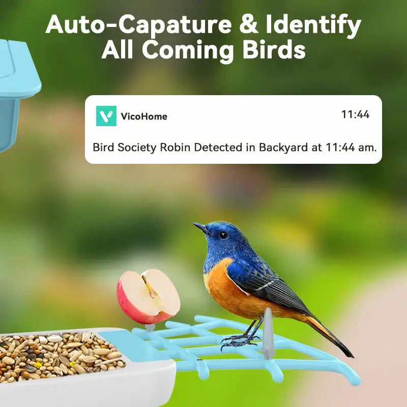 Revolutionize Your Life with Smart Bird Feeders and Cameras